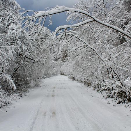 Cabana Laica, Romania Petrila Εξωτερικό φωτογραφία
