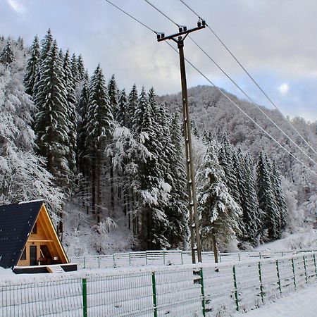 Cabana Laica, Romania Petrila Εξωτερικό φωτογραφία