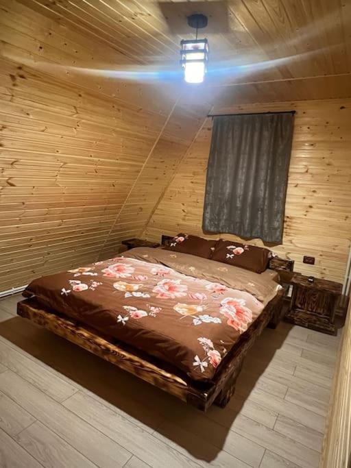Cabana Laica, Romania Petrila Εξωτερικό φωτογραφία