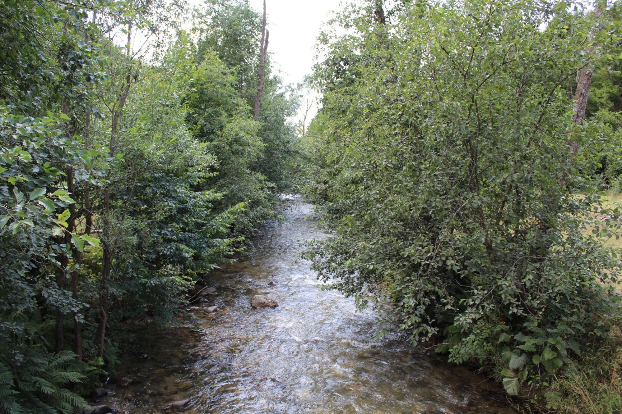 Cabana Laica, Romania Petrila Εξωτερικό φωτογραφία