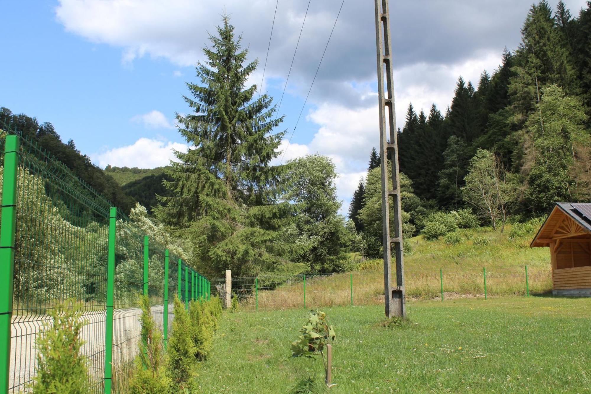 Cabana Laica, Romania Petrila Εξωτερικό φωτογραφία