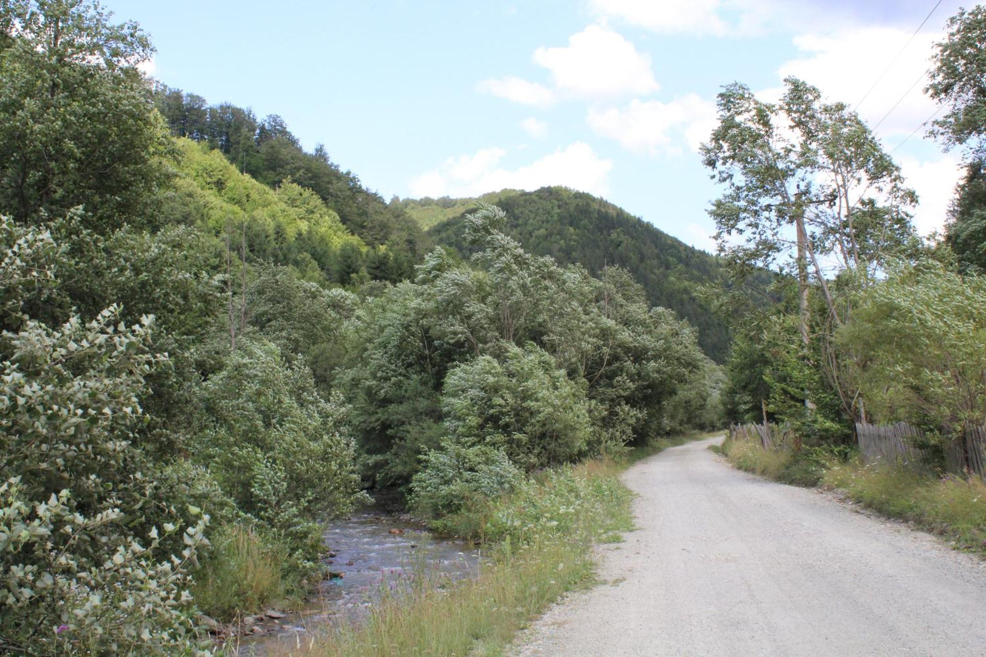 Cabana Laica, Romania Petrila Εξωτερικό φωτογραφία