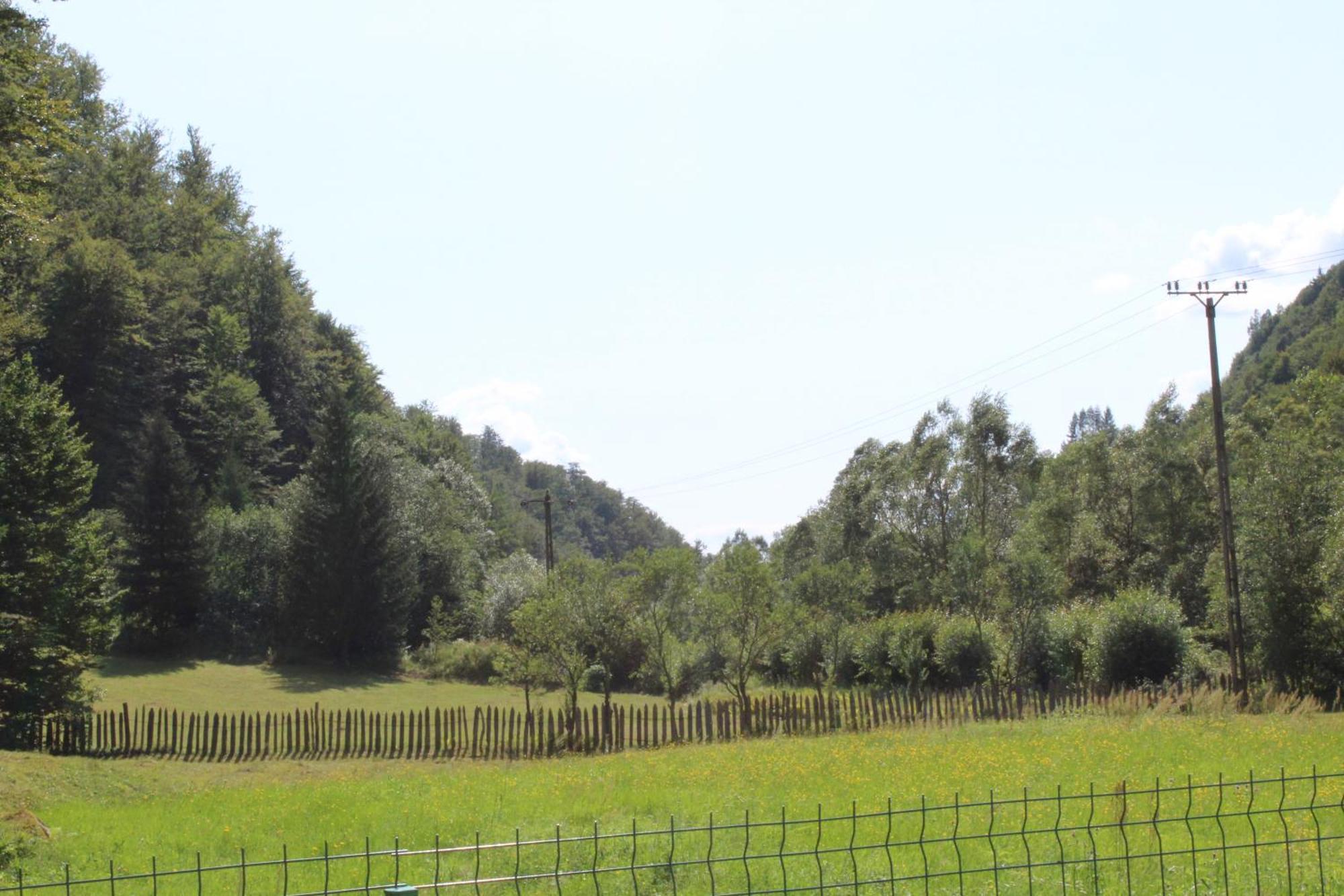 Cabana Laica, Romania Petrila Εξωτερικό φωτογραφία
