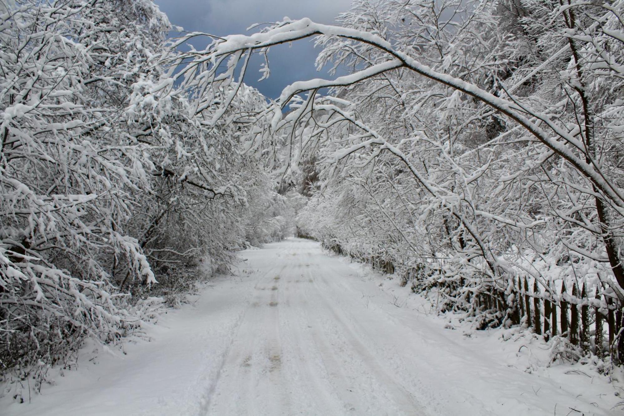 Cabana Laica, Romania Petrila Εξωτερικό φωτογραφία