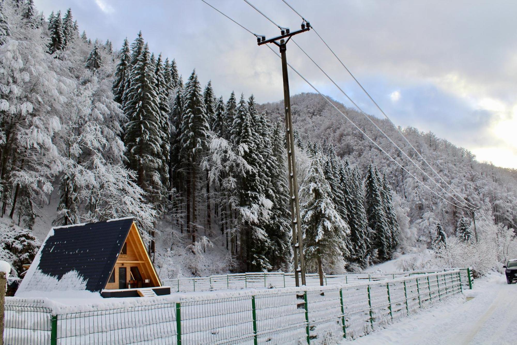 Cabana Laica, Romania Petrila Εξωτερικό φωτογραφία