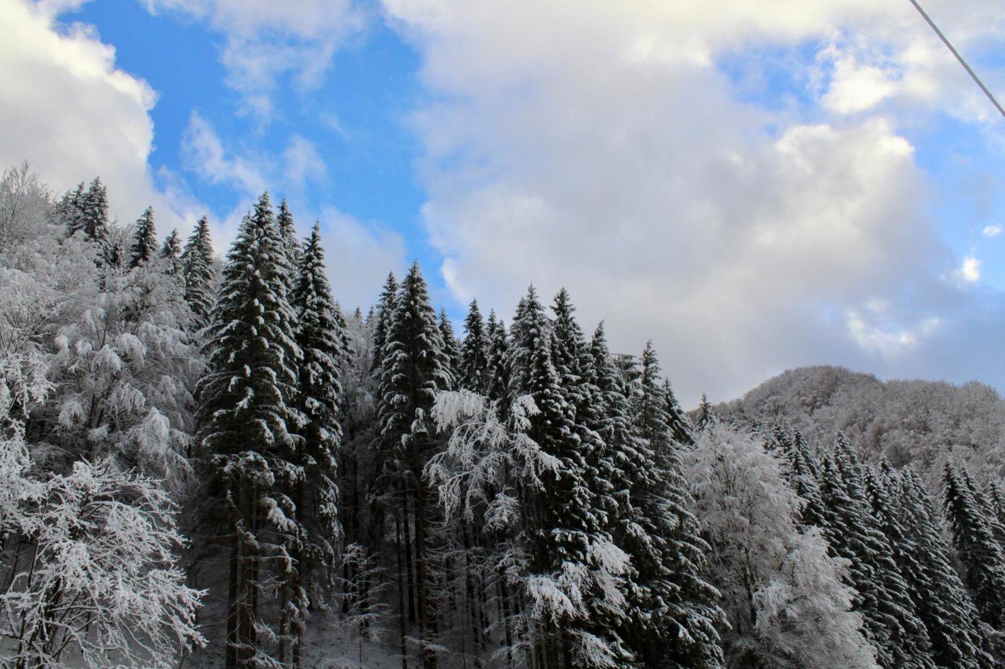 Cabana Laica, Romania Petrila Εξωτερικό φωτογραφία