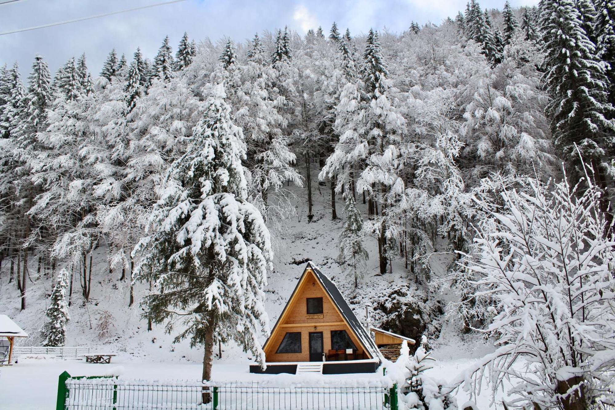 Cabana Laica, Romania Petrila Εξωτερικό φωτογραφία