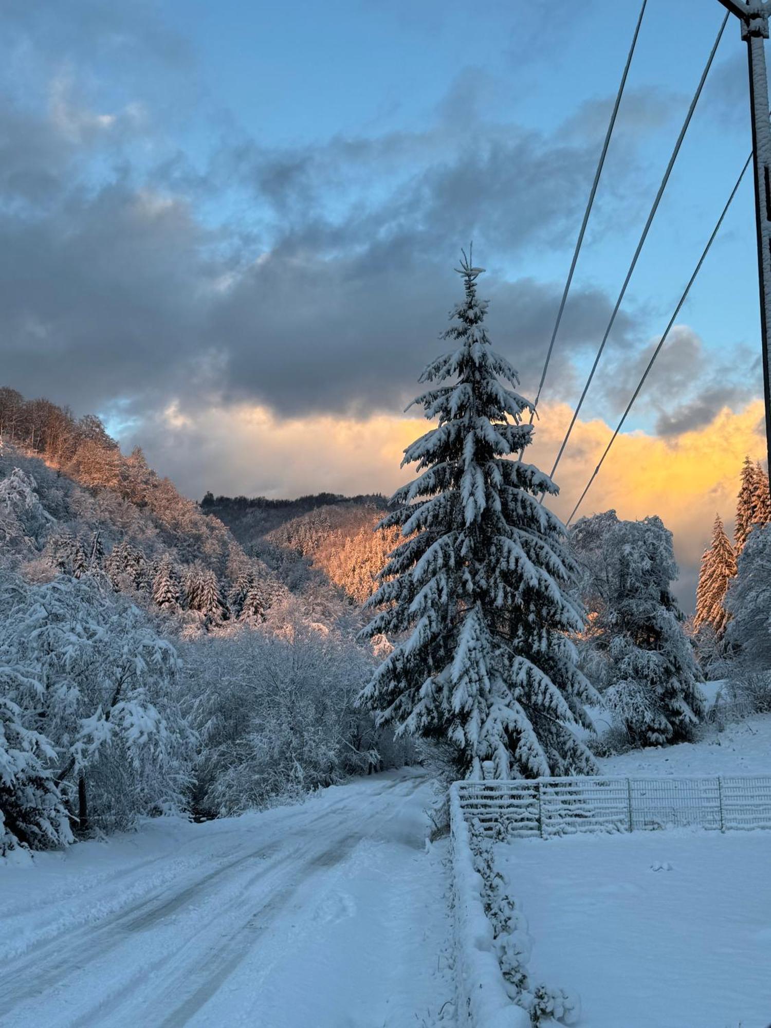 Cabana Laica, Romania Petrila Εξωτερικό φωτογραφία