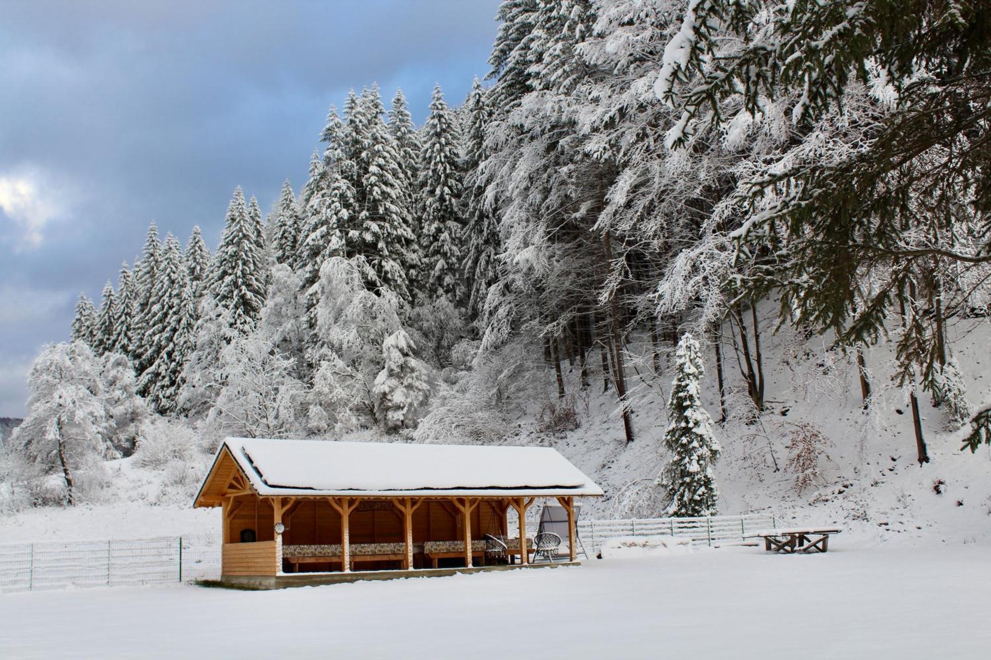 Cabana Laica, Romania Petrila Εξωτερικό φωτογραφία
