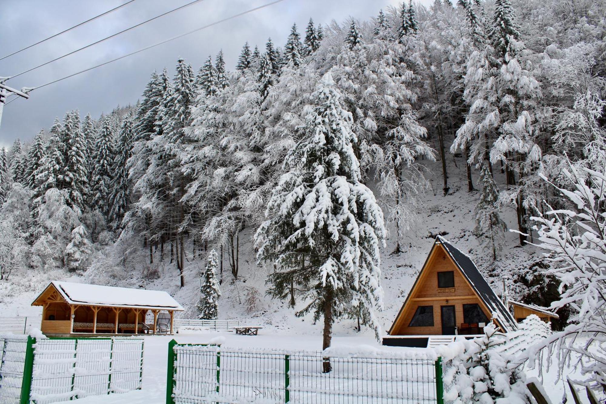 Cabana Laica, Romania Petrila Εξωτερικό φωτογραφία